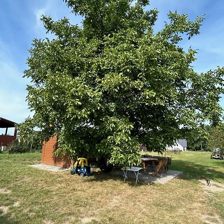 Agroturystyka U Krystyny Moryn Exterior foto